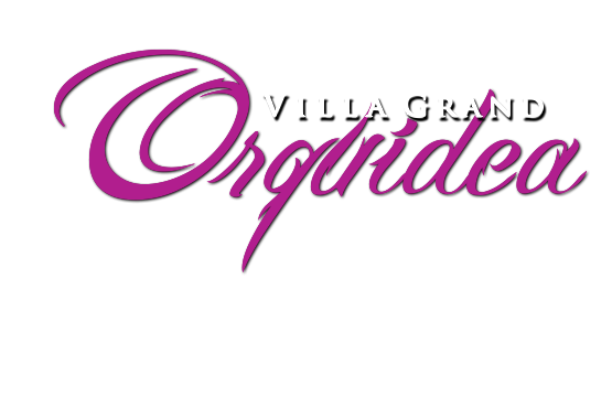 Villas de alquiler en Playa del carmen